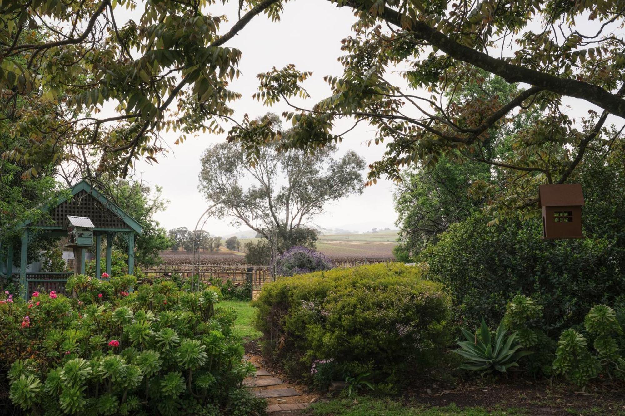 Jasmine'S Barossa Valley Cottage Lyndoch Exterior photo