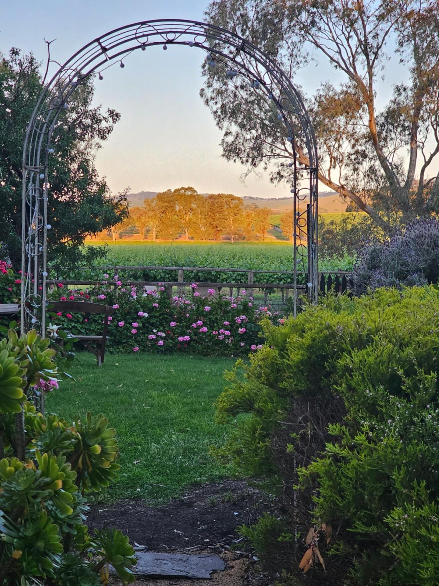 Jasmine'S Barossa Valley Cottage Lyndoch Exterior photo